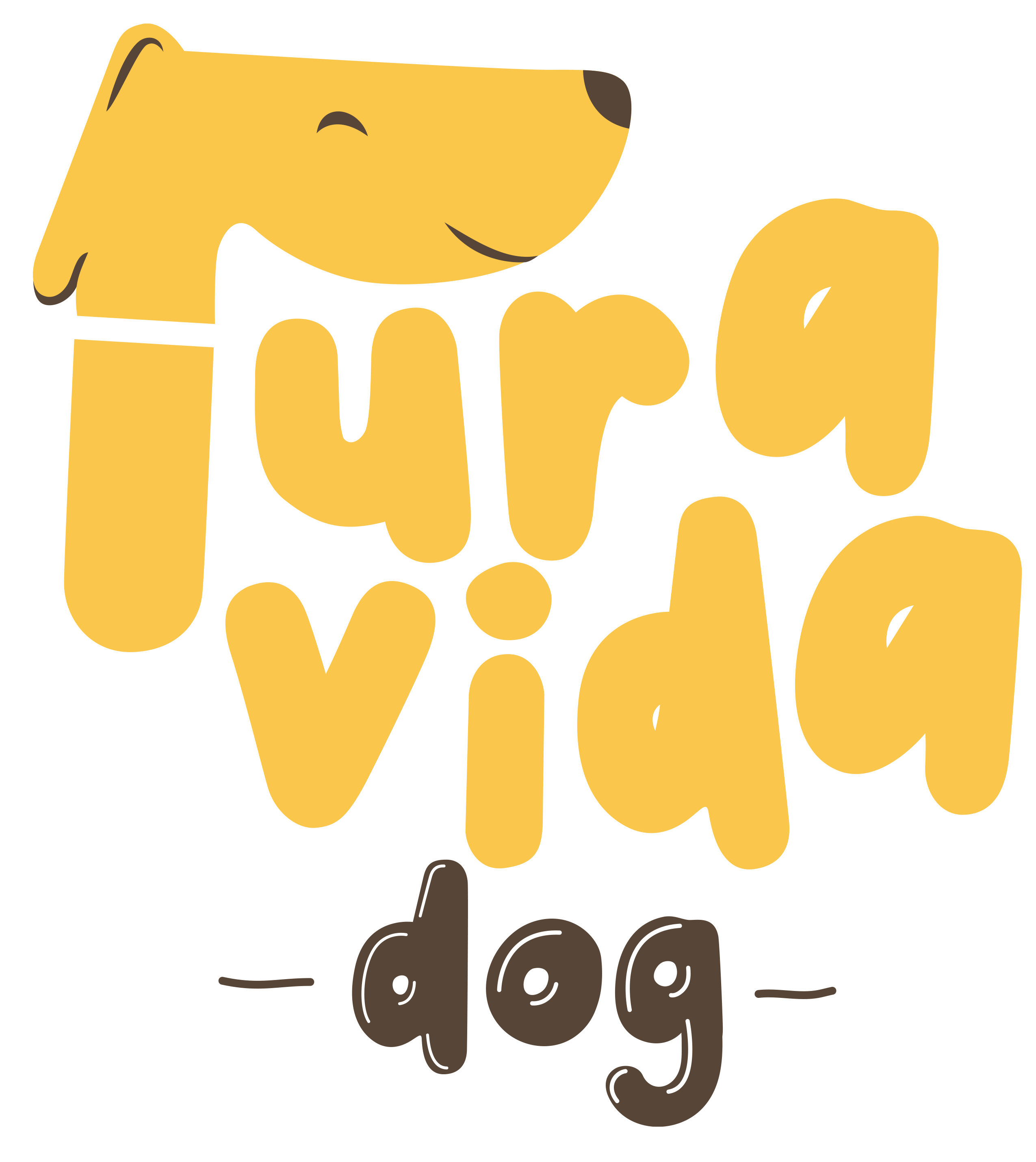 Puravida